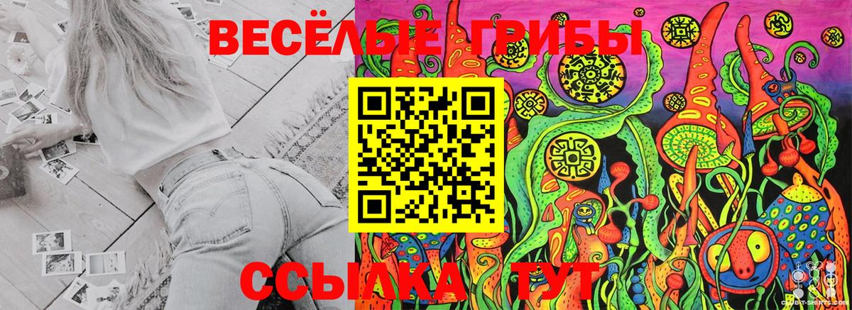 Псилоцибиновые грибы Magic Shrooms  Вход с VPN  Северобайкальск 