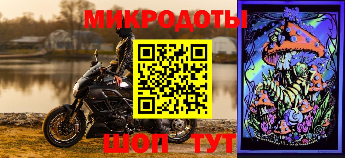 Галлюциногенные грибы Psilocybe Северобайкальск