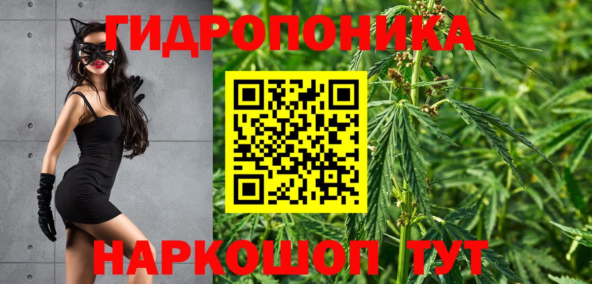 Марихуана планчик Северобайкальск